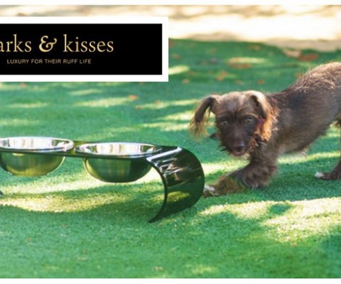 Barks & Kisses Introduces its First Line of Ashford Collection Pet Diners for Dogs and Cats
